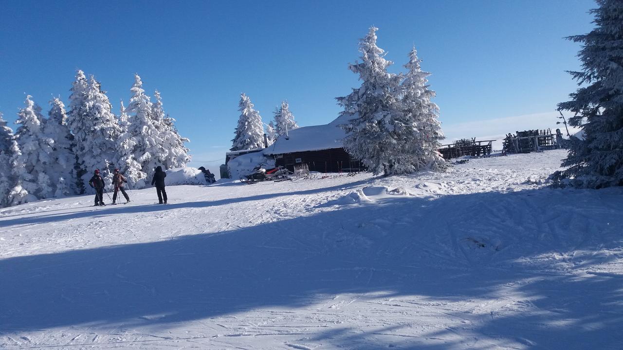 Apartment Maja Konaci Kopaonik Exteriör bild